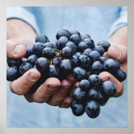 ぶどう/グルメキッチンポスター ポスター