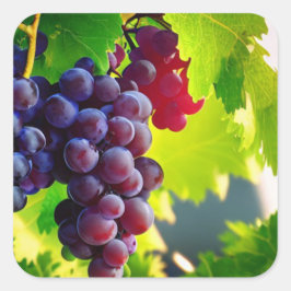 ぶどう スクエアシール