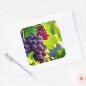 ぶどう スクエアシール (封筒)