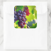 ぶどう スクエアシール (バッグ)