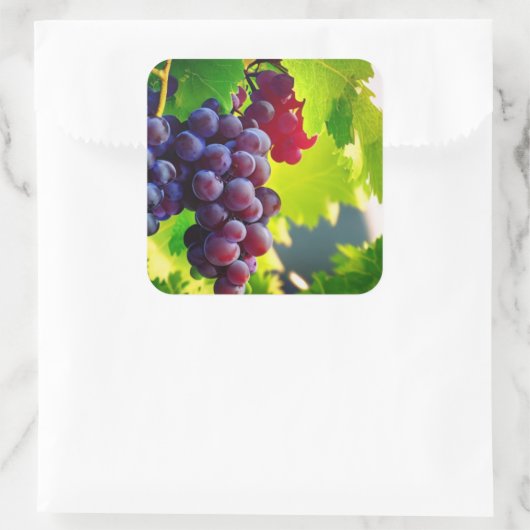 ぶどう スクエアシール (バッグ)