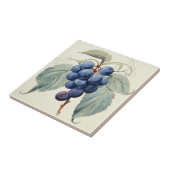 ぶどう タイル (側面)