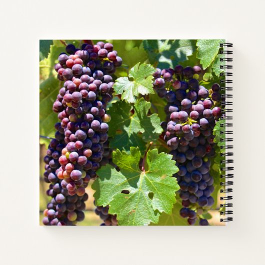 ぶどう ノートブック (裏面)