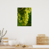 ぶどう ポスター (キッチン)