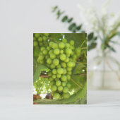ぶどう ポストカード (スタンド正面)
