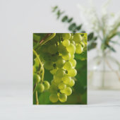 ぶどう ポストカード (スタンド正面)