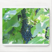 ぶどう マウスパッド (正面)