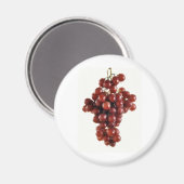 ぶどう マグネット (正面/裏面)