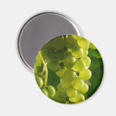 ぶどう マグネット (正面/裏面)