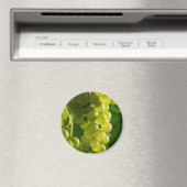 ぶどう マグネット (インサイチュ (食洗機))