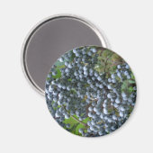 ぶどう マグネット (正面/裏面)