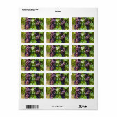 ぶどう ラベル (フルシート)