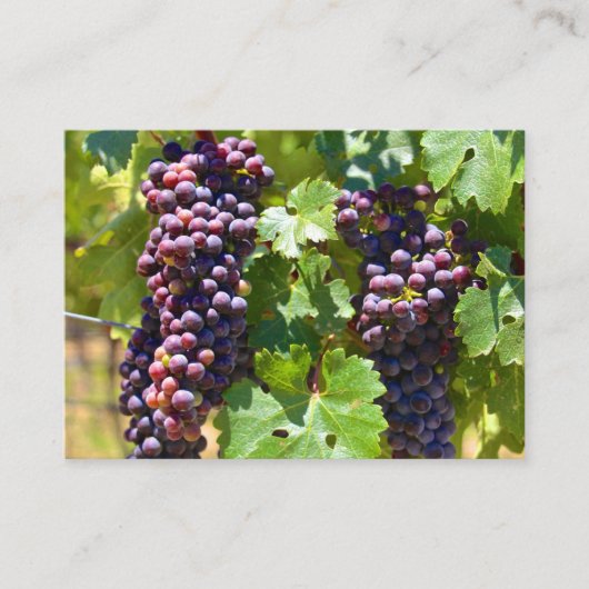 ぶどう 名刺 (正面)