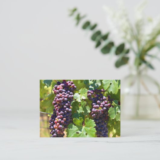 ぶどう 名刺 (スタンド正面)