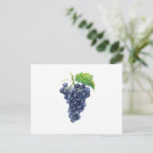 ぶどう。水の色 ポストカード (スタンド正面)