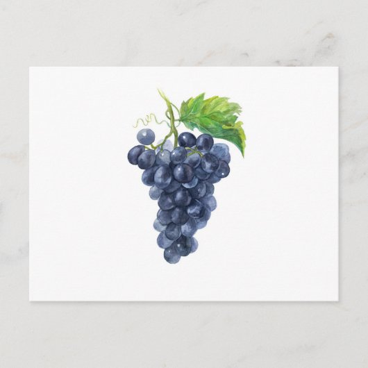 ぶどう。水の色 ポストカード (正面)
