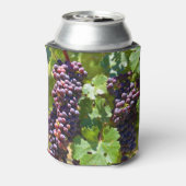 ぶどう 缶クーラー (缶裏面)