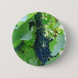 ぶどう 缶バッジ