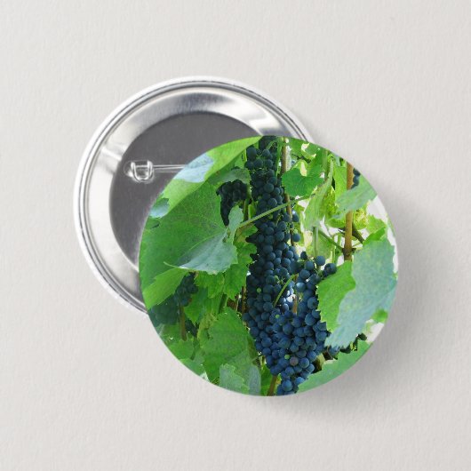 ぶどう 缶バッジ (正面&裏面)