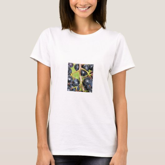 ぶどう Tシャツ (正面)