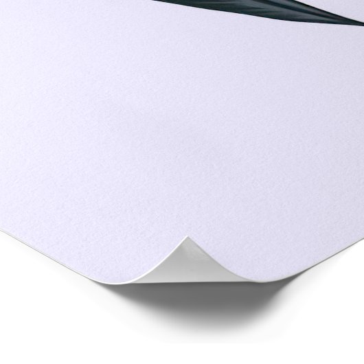 ぶら下がったこうもり ポスター (角)