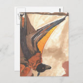 ぶら下がったこうもり ポストカード (正面/裏面)