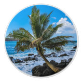 ぶら下がったのまわりに... セラミックノブ (正面)