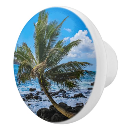 ぶら下がったのまわりに... セラミックノブ (右)