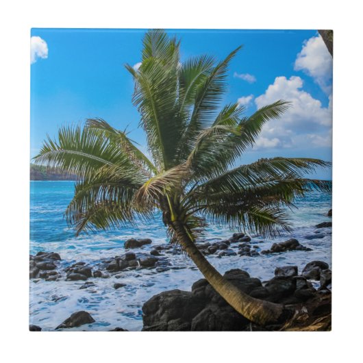 ぶら下がったのまわりに... タイル (正面)