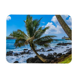 ぶら下がったのまわりに... マグネット