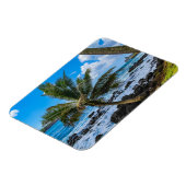 ぶら下がったのまわりに... マグネット (左側)