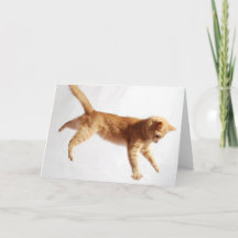 ぶら下がった中だ