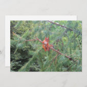 ぶら下がった中だ シーズンカード (正面/裏面)