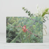 ぶら下がった中だ シーズンカード (スタンド正面)