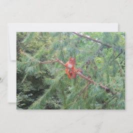 ぶら下がった中だ シーズンカード