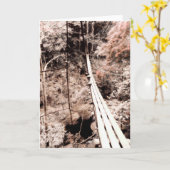 ぶら下がった橋 カード (黄色い花)