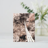 ぶら下がった橋 ポストカード (スタンド正面)