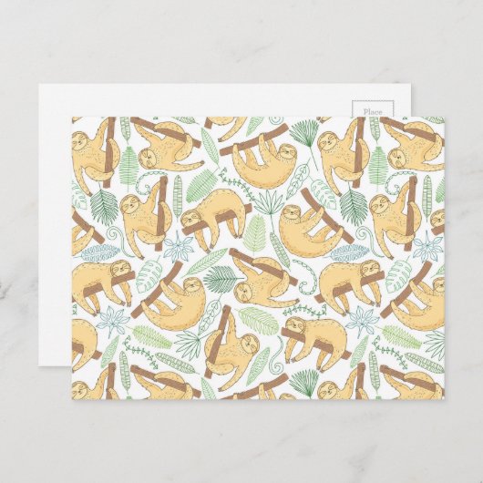 ぶら下がるナマケモノ ポストカード (正面/裏面)