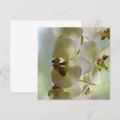 ぶら下がる蘭の招待状 招待状 (正面/裏面)