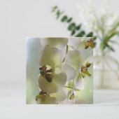 ぶら下がる蘭の招待状 招待状 (スタンド正面)