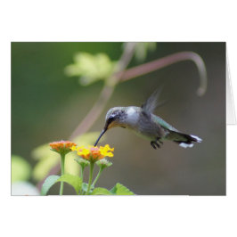 ぶんぶんいう夏