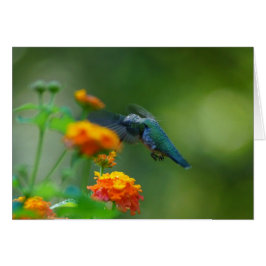 ぶんぶんいう夏