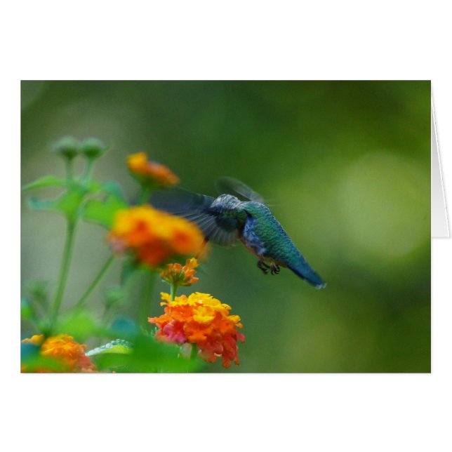 ぶんぶんいう夏 (正面横)