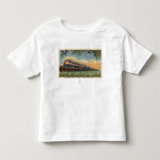 ぶんぶんいう鳥の鉄道列車 トドラーTシャツ (正面)