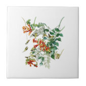 ぶんぶんいう鳥のAudubonのルビーthroated鳥アメリカ タイル (正面)