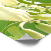 ぶんぶんいう鳥 ポスター (角)