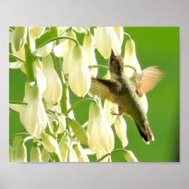 ぶんぶんいう鳥 ポスター