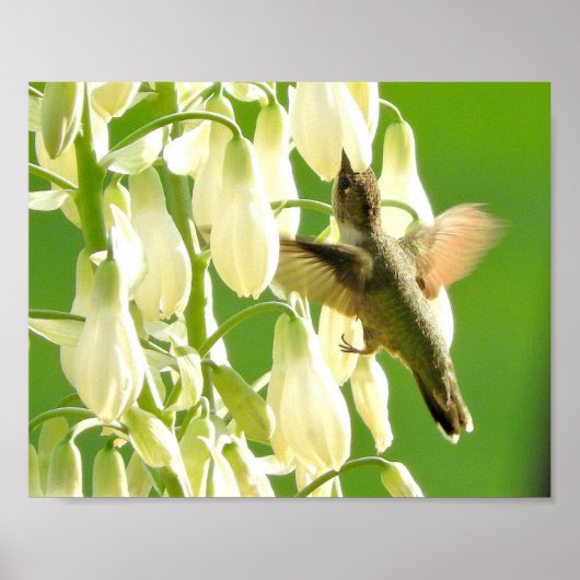 ぶんぶんいう鳥 ポスター (正面)