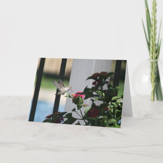 ぶんぶんいう鳥、空白のなカード カード (正面)