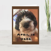 へえ～へえ～お前の**エイプリル誕生日!**カードだ！ カード (正面)